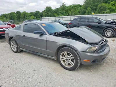 2010 FORD MUSTANG, фото 4, лот 10554452