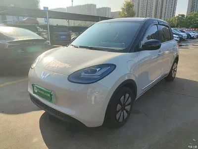 2024 Wuling Motors Wuling Bingo 333km Comfort Edition, фото 2, лот 11210385