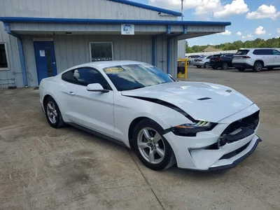 2019 FORD MUSTANG, фото 4, лот 10504544