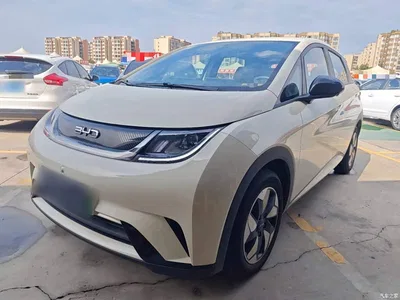 2025 BYD Dolphin 420km Freedom Edition, фото 2, лот 10263930