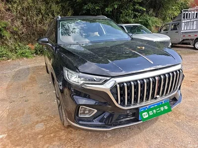 2022 Hongqi HS5 Facelift 2.0T Smart Flag Enjoyment AWD Edition, фото 4, лот 10289923