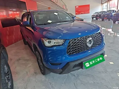 2021 Great Wall Pao 2.0T Commercial Edition Automatic Diesel 2WD Elite Long Box GW4D20M, фото 4, лот 10246299