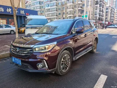 2016 GAC Trumpchi Trumpchi GS4 235T G-DCT Premium Edition, фото 1, лот 10419906