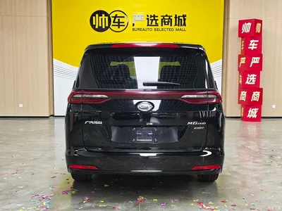 2023 GAC Trumpchi Trumpchi M6 PRO 270T DCT Luxury Edition, фото 4, лот 10418215
