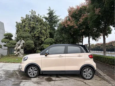 2021 Leapmotor T03 400 Comfort Edition, фото 2, лот 11494434