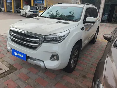 2020 Haval H9 2.0T Gasoline 4WD Premium 5-Seater, фото 1, лот 10400176