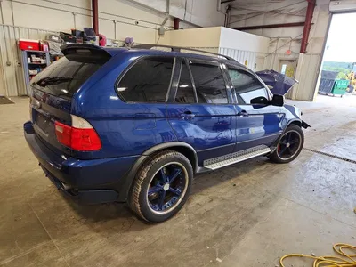 2004 BMW X5 4.8IS, фото 3, лот 10972193