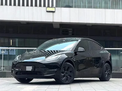 2024 Tesla Model Y Long Range AWD, фото 1, лот 10662919