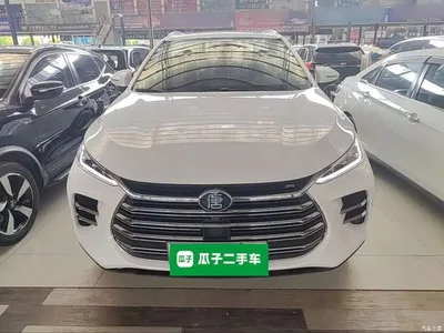 2019 BYD Tang New Energy DM 2.0T AWD Intelligent Leadership Creation 7-seater China VI, фото 3, лот 10272448