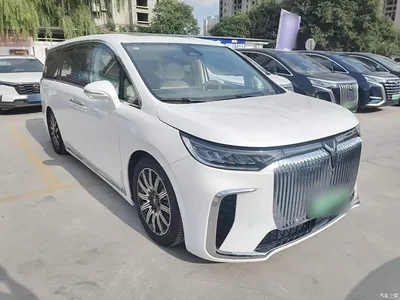2025 Voyah Auto Voyah Dreamer EV AWD Flagship Kunpeng Edition, фото 4, лот 10357993