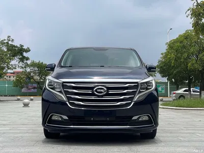 2018 GAC Trumpchi Trumpchi M8 320T Exclusive Edition, фото 2, лот 10416628