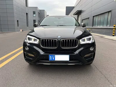 2018 BMW X6 xDrive28i, фото 2, лот 10469349