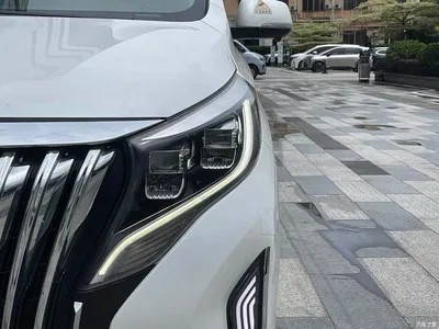 2021 GAC Trumpchi Trumpchi M8 Facelift Leading Series 390T Luxury Edition, фото 3, лот 11226470