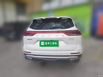 2021 Haval H6 Model National Trend Edition 1.5T Auto Champion, фото 3, лот 11196553