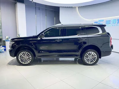 2024 Tank 500 EV Hi4-T, фото 3, лот 10889435