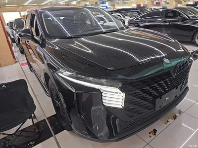 2022 Venucia Big V 260T Dark Horse Edition·Idol, фото 4, лот 11146740