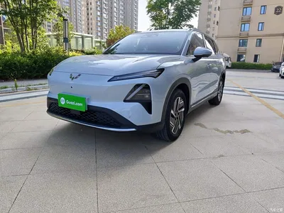 2025 Wuling Motors Wuling Xingguang S 510km Flagship, фото 1, лот 10836632