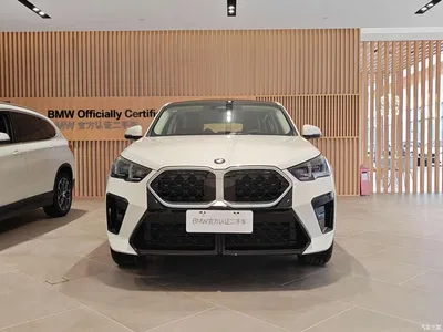 2025 BMW X2 (Import) sDrive25i M Sport Package, фото 2, лот 10571027