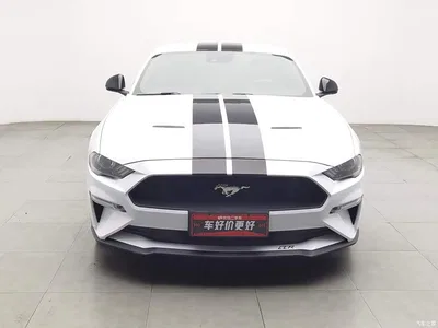 2019 Ford Mustang 2.3L EcoBoost, фото 3, лот 10295609