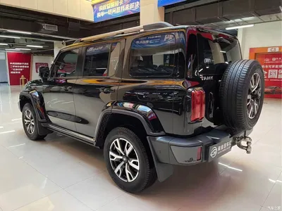 2021 Tank 300 Urban Edition 2.0T Stylish, фото 4, лот 11569438