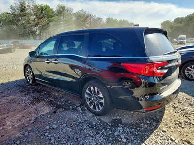 2024 HONDA ODYSSEY EXL, фото 2, лот 10722939