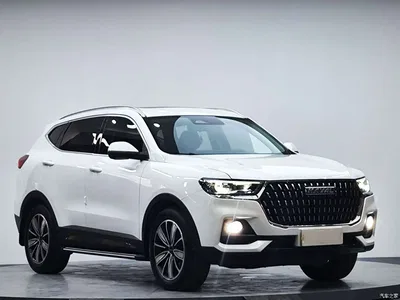 2023 Haval H6 National Trend Edition 1.5T Automatic Champion, фото 3, лот 10282977