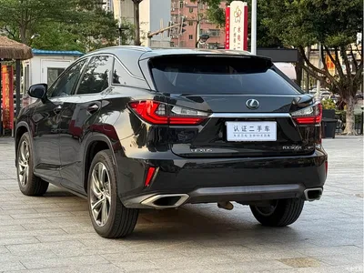 2016 Lexus RX 300 4WD Elegance Edition (China V), фото 4, лот 10318339