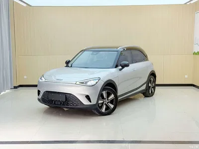 2024 smart Elf #1 Agile Standard Edition, фото 3, лот 10343632