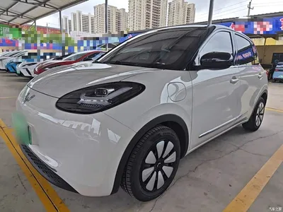 2024 Wuling Motors Wuling Bingo 333km Comfort Edition, фото 1, лот 10369856