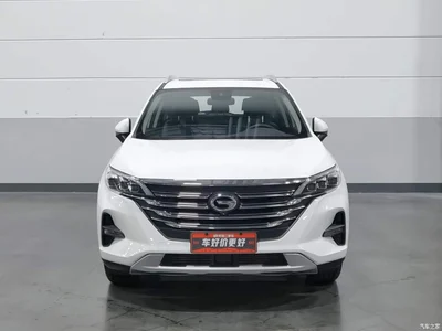 2021 GAC Trumpchi Trumpchi GS5 Advanced 270T Tech Zhiling Edition, фото 3, лот 10416721