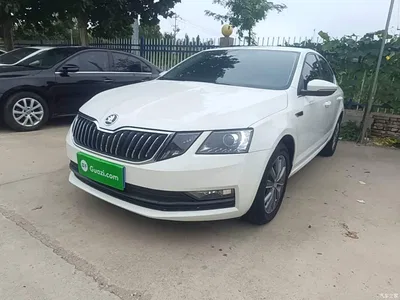 2019 Škoda Octavia 1.5L Automatic Smart Comfort China VI, фото 1, лот 10348233