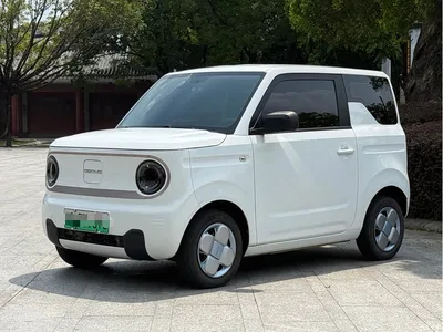 2023 Geely Galaxy Panda Mini 200km Endurance Bear, фото 1, лот 10431081