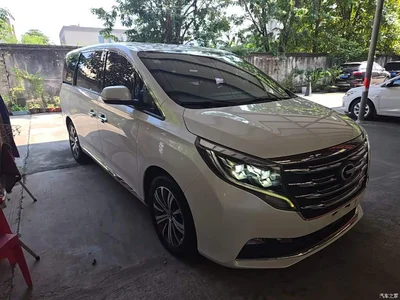 2018 GAC Trumpchi Trumpchi M8 320T Premium Edition, фото 4, лот 10422387
