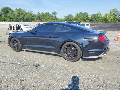 2019 FORD MUSTANG GT, фото 2, лот 10569979
