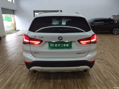 2020 BMW X1 sDrive20Li Premium Edition, фото 4, лот 10467206