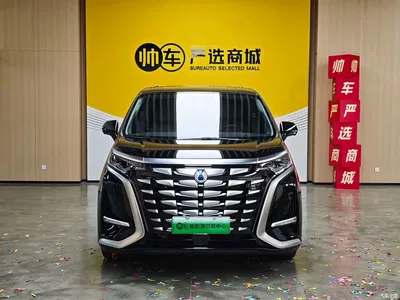 2024 Denza D9 DM-i 980 AWD Prestige, фото 2, лот 10450128