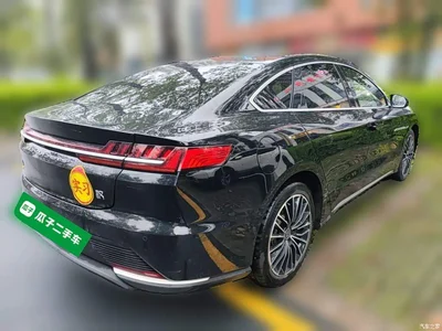 2021 BYD Han EV Standard Range Luxury, фото 4, лот 10829136