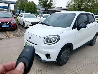 2024 Leapmotor T03 200 Light Enjoy Edition, фото 1, лот 11241614