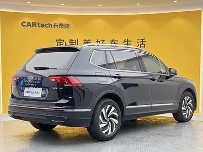 2025 Volkswagen Tiguan L Model 300TSI Auto 2WD Dragon Edition, фото 4, лот 10481798