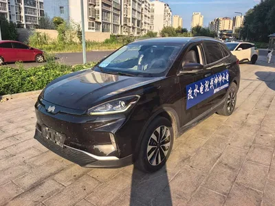 2018 Weltmeister EX5 400 Extra Innovation Edition, фото 1, лот 10340727