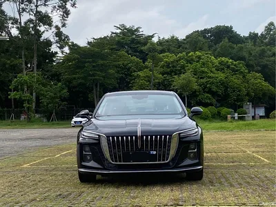 2025 Hongqi H5 1.5T DCT Flag Rhythm 500,000 Units Memorial Edition, фото 2, лот 10288226