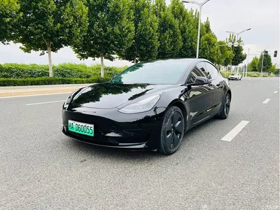 2021 Tesla Model 3 Standard Range Rear-Wheel Drive Upgrade 3D6, фото 1, лот 10335046
