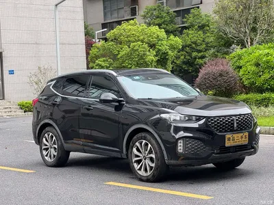 2020 WEY VV6 2.0T 2WD Smart Protection+, фото 1, лот 10451291