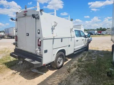2025 FORD F250 SUPER DUTY, фото 3, лот 10505267