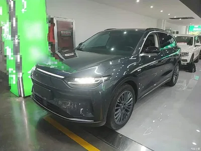 2023 Leapmotor C11 Pure Electric 500 Smart Edition, фото 1, лот 10441579