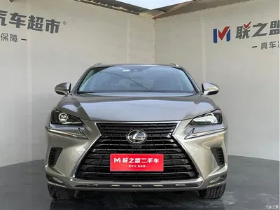 2020 Lexus NX 200 AWD F Sport China VI, фото 2, лот 10314407