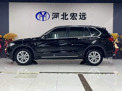 2018 BMW X5 (Import) xDrive35i Elegant Model, фото 3, лот 10463960