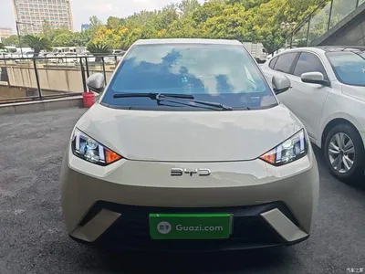 2024 BYD Seagull Glory Edition 305km Vitality Edition, фото 3, лот 10812714