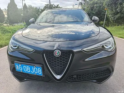 2017 Alfa Romeo Stelvio 2.0T 200HP Luxury Edition, фото 1, лот 10239839