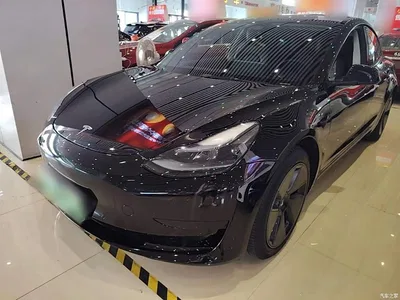 2022 Tesla Model 3 Model Rear-Wheel Drive Version, фото 2, лот 10672194